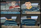 They did a study where they swabbed dolphin p---- juice on a monkey's d---, and the monkey came so hard that-he had a heart attack and died. Did you know that dolphin p---- juice makes male dolphins c-- extra hard? Hey, where are you going? Isn't that cool?