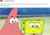 gentlemangeek Scientists placing the isotropic helicoid in water and waiting to see what happens: