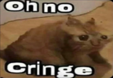 Oh no Cringe
