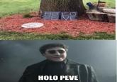 PELVE HOLO PEVE