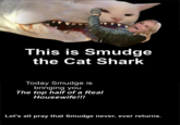This is Smudge the Cat Shark Today Smudge is bringing you The top half of a Real Housewife!!! Let's all pray that Smudge never, ever returns.