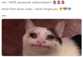 me: i HATE parasocial relationships!!! steve from blues clues: i never forgot you me: