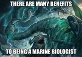 Benefit #61: Havoc THERE ARE MANY BENEFITS TO BEING A MARINE BIOLOGIST imgflip.com.tRO WIZARDS OI THE COAST