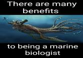 Benefit #31: Free upgrades There are many benefits to being a marine biologist