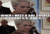 WHEN I MEET A GAY COUPLE WHO ARE 54" AND 6'2"