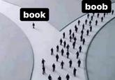 boob book