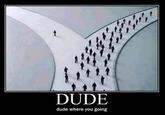 DUDE dude where you going
