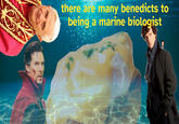 There Are Many Benedicts there are many benedicts to being a marine biologist