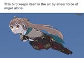 This bird keeps itself in the air by sheer force of anger alone. @tiannya_