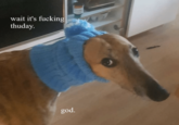 wait it's f------ thuday. god.