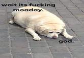 wait its f------ moaday. god.