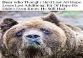 Bear who Thought He'd Lost All Hope Loses Last Additional Bit Of Hope He Didn't Even Know He Still Had