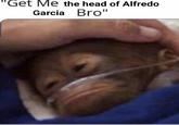 'Get Me the head of Alfredo Garcia Bro"