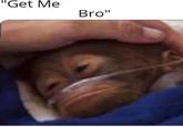 "Get Me Bro"