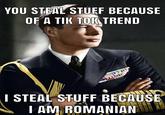 YOU STEAL STUFF BECAUSE OF A TIK TOK TREND I STEAL STUFF BECAUSE I AM ROMANIAN
