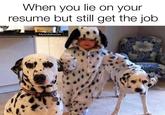 When you lie on your resume but still get the job Mykidsbutler 16