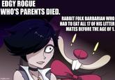 EDGY ROGUE WHO'S PARENTS DIED. RABBIT FOLK BARBARIAN WHO HAD TO EAT ALL 17 OF HIS LITTER MATES BEFORE THE AGE OF 1. imgflip.com