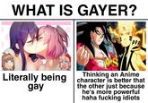 WHAT IS GAYER? eep Literally being gay Thinking an Anime character is better that the other just because he's more powerful haha f------ idiots