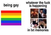 being gay whatever the f--- is happening in txt memories
