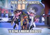 woomy THERE ARE MANY BENEFITS TO BEING A MARINE BIOLOGIST imgflip.com