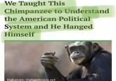 We Taught This Chimpanzee to Understand the American Political System and He Hanged Himself Full story: thehardtimes.net