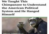 We Taught This Chimpanzee to Understand the American Political System and He Hanged Himself Full story: thehardtimes.net
