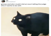 pat @incompatence grimes and elon musk's kid at court telling the judge who it wants to be with