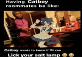 Having catboy roommates Having Catboy roommates be like: Catboy wants to know if He can Lick your salt lamp Obookamemes
