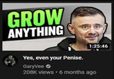 GROW ANYTHING 1:25:46 Yes, even your Penise. GaryVee O 208K views • 6 months ago