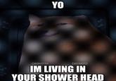 YO CHEEBAZEEBA CHEEMSITZ IM LIVING IN YOUR SHOWER HEAD