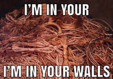 I'M IN YOUR I'M IN YOUR WALLS