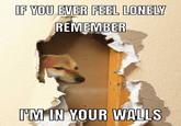 IF YOU EVER FEEL LONELY REMEMBER I'M IN YOUR WALLS