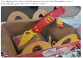I'm dying for the knife! welcome to McDonald's can i introduce you to the mitski meal? Happy Meer makes a real di