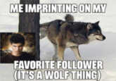 ME IMPRINTING ON MY FAVORITE FOLLOWER (IT'SA WOLF THING