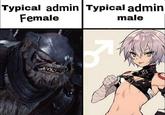 Typical admin Typical admin Female male 公