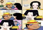 I DID I DIE? /共 NO, YOU DIDN'T THEN, WHY I AM SEEING AN ANGEL? 井 OH, LUFFY YOU SILLY! /井 共 #3
