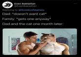 Ezen Baklattan @EzenBaklattan Replying to @ScoobysNephew Dad: *doesn't want cat* Family: *gets one anyway* Dad and the cat one month later: