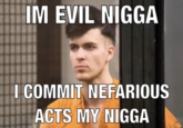 IM EVIL N---- I COMMIT NEFARIOUS ACTS MY N----