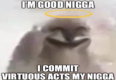 IM GOOD N---- I COMMIT VIRTUOUS ACTS MY N----