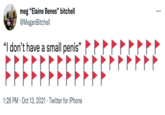 meg "Elaine Benes" bitchell @MeganBitchell ... "I don't have a small penis" 99 FFE 1:28 PM · Oct 13, 2021 · Twitter for iPhone