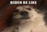 BIDEN BE LIKE