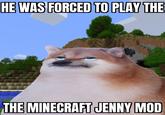 HE WAS FORCED TO PLAY THE THE MINECRAFT JENNY MOD