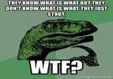 THEY KNOW WHAT IS WHAT BUT THEY DON'T KNOW WHAT IS WHAT, THEY JUST STRUT, W--? memegenerator.net