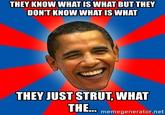 THEY KNOW WHAT IS WHAT BUT THEY DON'T KNOW WHAT IS WHAT THEY JUST STRUT, WHAT THE. memegenerator.net