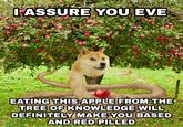 I ASSURE YOU EVE EATING THIS APPLE FROM THE TREE OF KNOWLEDGE WILL DEFINITELY MAKE YOU BASED AND RED PILLED