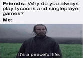 Friends: Why do you always play tycoons and singleplayer games? Me: It's a peaceful life. PIMCATMEMES