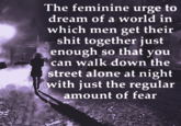 The Feminine Urge The feminine urge to dream of a world in which men get their s--- together just enough so that you can walk down the street alone at night with just the regular amount of fear