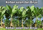 Korban salam dari Binjai @iblesned Korban salam dari Binjai