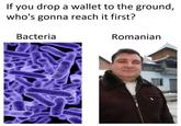 If you drop a wallet to the ground, who's gonna reach it first? Bacteria Romanian