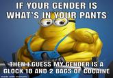 IF YOUR GENDER IS WHAT'S IN YOUR PANTS THEN I GUESS MY GENDER IS A GLOCK 18 AND 2 BAGS OF COCAINE maintingovahoocem. made with mematic